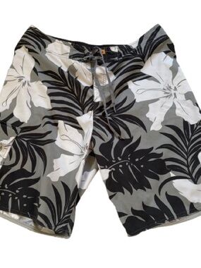 Quicksilver Men’s Boardshorts